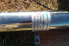 157296989_254065912864499_6809402247782431438_n