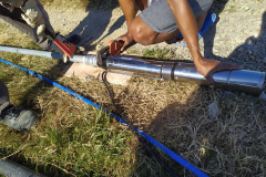 158022487_254065949531162_2522049932678553743_n