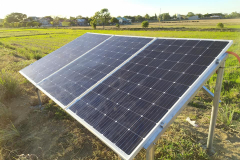 158314322_254065742864516_4109293870238370271_n