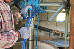 158468921_255962249341532_3785251973393654760_n